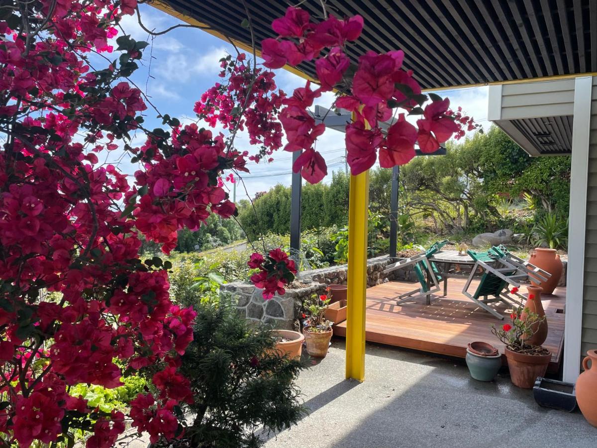 Under The Yellow Canopy Christchurch Exterior photo